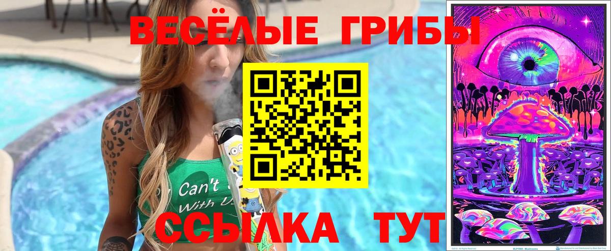 Псилоцибиновые грибы Cubensis Зерноград