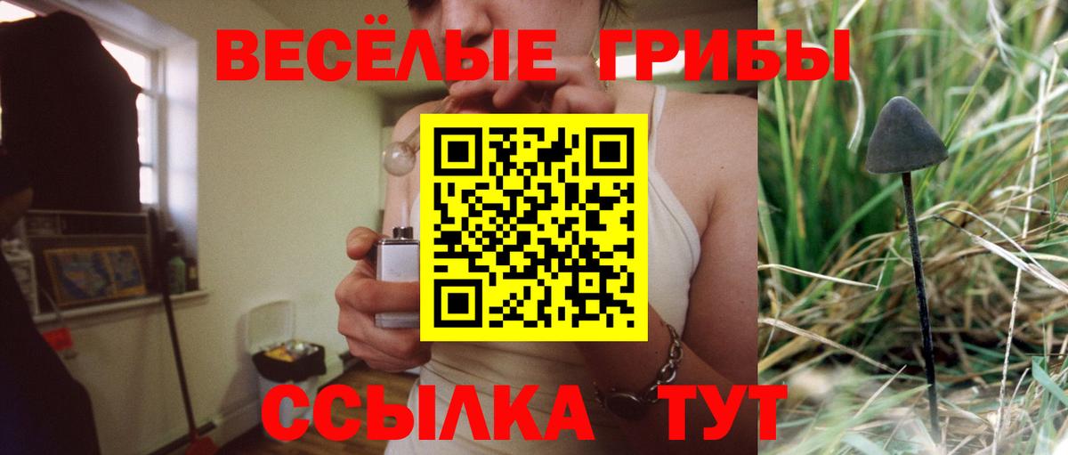 Псилоцибиновые грибы Magic Shrooms  Вход с VPN  Зерноград 