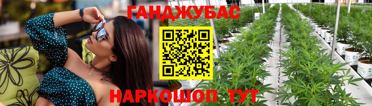 Каннабис White Widow  МАРИХУАНА SATIVA & INDICA  Зерноград  Вход с VPN  Канабис гибрид 